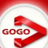 GOGO 12-Months activation code