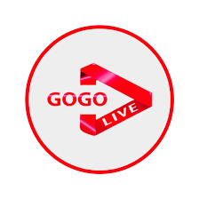 Gogo iptv 12 Mois